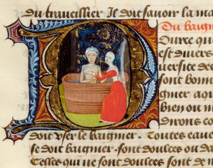 Hygiëne en voordelen van het toilet, uit het Verdrag van Geneeskunde door Aldebrande van Florence, manuscript door Unknown artist