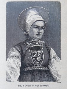 Illustratie uit "Het menselijk ras" door Louis Figuier door Unknown artist