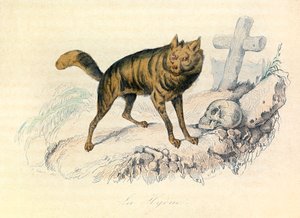Illustratie uit het boek "Complete Works of Buffon": Les Quadrupedes: La hyene (gravure) door Unknown artist