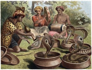 Indische Cobra - De Indische cobra door Unknown artist