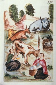 Indiase herders zorgen voor koeien, uit het boek "Trujillo del Peru" of "Códice Martínez Compañón", door Baltazar Martinez Compañón y Bujanda, bisschop van Trujillo (1782-1785)