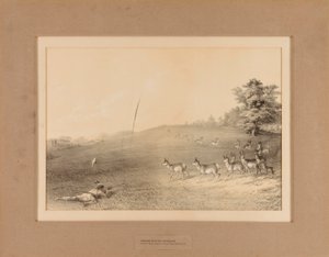 Indianen jagen op antilopen - nr. 20