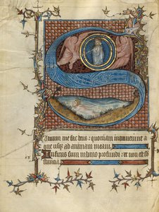 Begin S: David in het water door Unknown artist