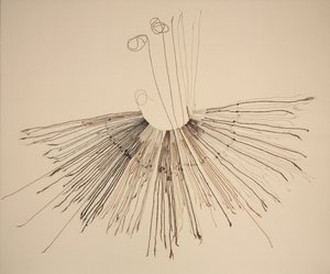 Inka Khipu (vezelopnameapparaat) door Unknown artist