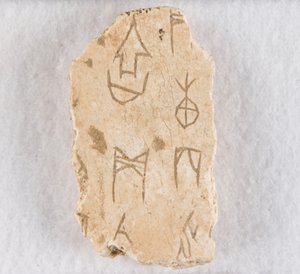 Ingesneden Botfragment ("orakelbot") door Unknown artist