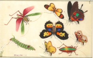 Insecten