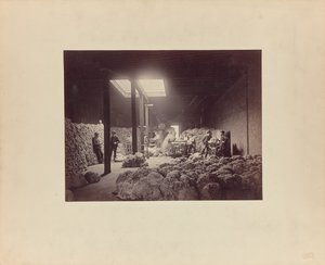 [Interieur van wolsorteerhuis, Walter Brown and Company].