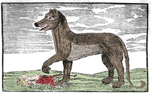 La bete du Gevaudan Gravure uit 