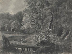 Landschap met vijver
