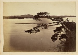 [Landschap met meer en bomen]
