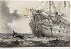 Het leggen van de Atlantische telegraafkabel, een walvis rond de boot door Unknown artist