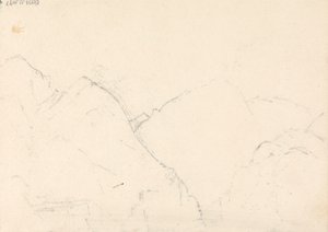 Madeira visser, 14 januari 
