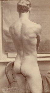 [Mannelijke naaktstudie].