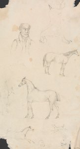 Man, Paarden en Honden