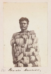 Maori Krijger, c.1876 door Unknown artist