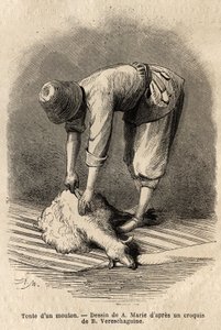 Scheren van een schaap door een jonge Tataarse man, in Schusha (Transkaukasië, Rusland). Gravure ter illustratie van de reis in de provincies van de Kaukasus, door Basile Vereschaguine, in 1864-1865, gepubliceerd in 