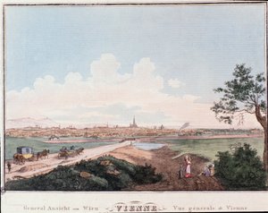 Overzicht van de stad Wenen met brug over de Donau. Oostenrijk Gravure uit 1830 Privécollectie door Unknown artist