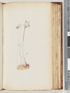 Pagina 106. Geen inscriptie, tekening onvoltooid door Unknown artist