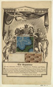 Pagina uit Ackermann
