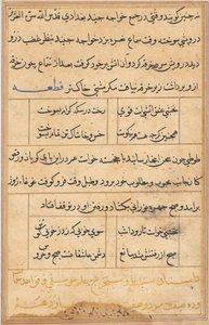 Pagina uit Verhalen van een Papegaai (Tuti-nama): tekstpagina door Unknown artist