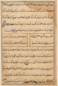 Pagina uit Verhalen van een Papegaai (Tuti-nama): tekstpagina door Unknown artist