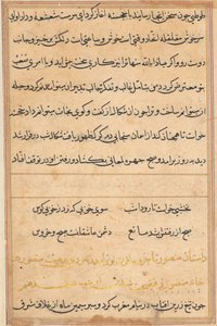 Pagina uit Verhalen van een Papegaai (Tuti-nama): tekstpagina door Unknown artist