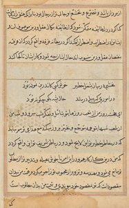 Pagina uit Verhalen van een Papegaai (Tuti-nama): tekstpagina door Unknown artist
