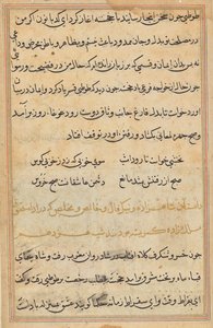 Pagina uit Verhalen van een Papegaai (Tuti-nama): tekstpagina door Unknown artist