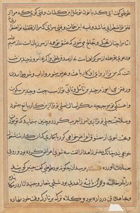 Pagina uit Verhalen van een Papegaai (Tuti-nama): tekstpagina door Unknown artist