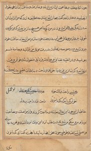 Pagina uit Verhalen van een Papegaai (Tuti-nama): tekstpagina door Unknown artist