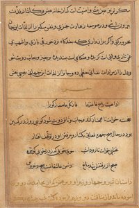 Pagina uit Verhalen van een Papegaai (Tuti-nama): tekstpagina door Unknown artist