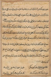 Pagina uit Verhalen van een Papegaai (Tuti-nama): tekstpagina door Unknown artist