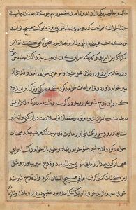 Pagina uit Verhalen van een Papegaai (Tuti-nama): tekstpagina door Unknown artist