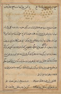 Pagina uit Verhalen van een Papegaai (Tuti-nama): tekstpagina door Unknown artist