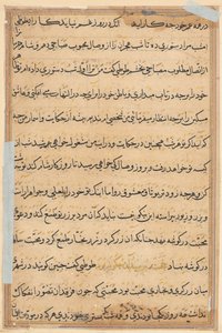 Pagina uit Verhalen van een Papegaai (Tuti-nama): tekstpagina door Unknown artist