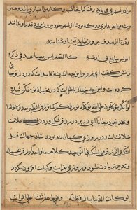 Pagina uit Verhalen van een Papegaai (Tuti-nama): tekstpagina door Unknown artist