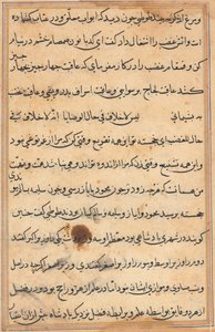 Pagina uit Verhalen van een Papegaai (Tuti-nama): tekstpagina