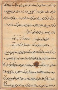 Pagina uit Verhalen van een Papegaai (Tuti-nama): tekstpagina door Unknown artist