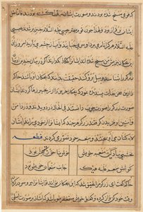 Pagina uit Verhalen van een Papegaai (Tuti-nama): tekstpagina door Unknown artist