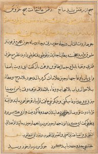 Pagina uit Verhalen van een Papegaai (Tuti-nama): tekstpagina door Unknown artist