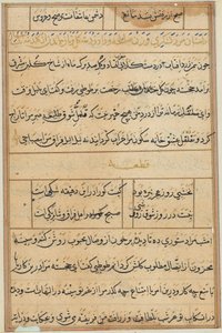 Pagina uit Verhalen van een Papegaai (Tuti-nama): tekstpagina door Unknown artist