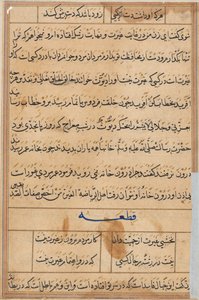 Pagina uit Verhalen van een Papegaai (Tuti-nama): tekstpagina door Unknown artist