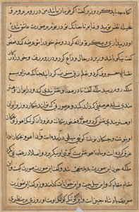 Pagina uit Verhalen van een Papegaai (Tuti-nama): tekstpagina door Unknown artist
