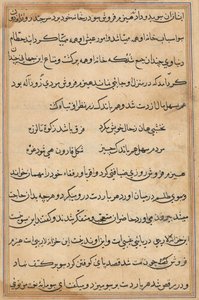 Pagina uit Verhalen van een Papegaai (Tuti-nama): tekstpagina door Unknown artist