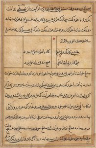 Pagina uit Verhalen van een Papegaai (Tuti-nama): tekstpagina door Unknown artist