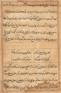 Pagina uit Verhalen van een Papegaai (Tuti-nama): tekstpagina door Unknown artist