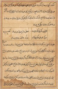 Pagina uit Verhalen van een Papegaai (Tuti-nama): tekstpagina door Unknown artist