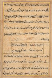 Pagina uit Verhalen van een Papegaai (Tuti-nama): tekstpagina door Unknown artist