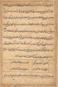 Pagina uit Verhalen van een Papegaai (Tuti-nama): tekstpagina door Unknown artist