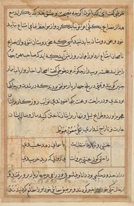 Pagina uit Verhalen van een Papegaai (Tuti-nama): tekstpagina door Unknown artist